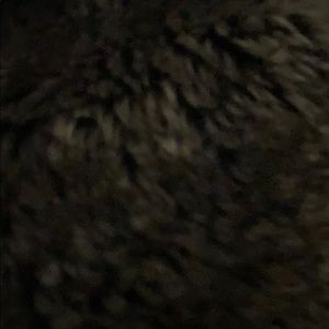 Meet your Posher, Indiana